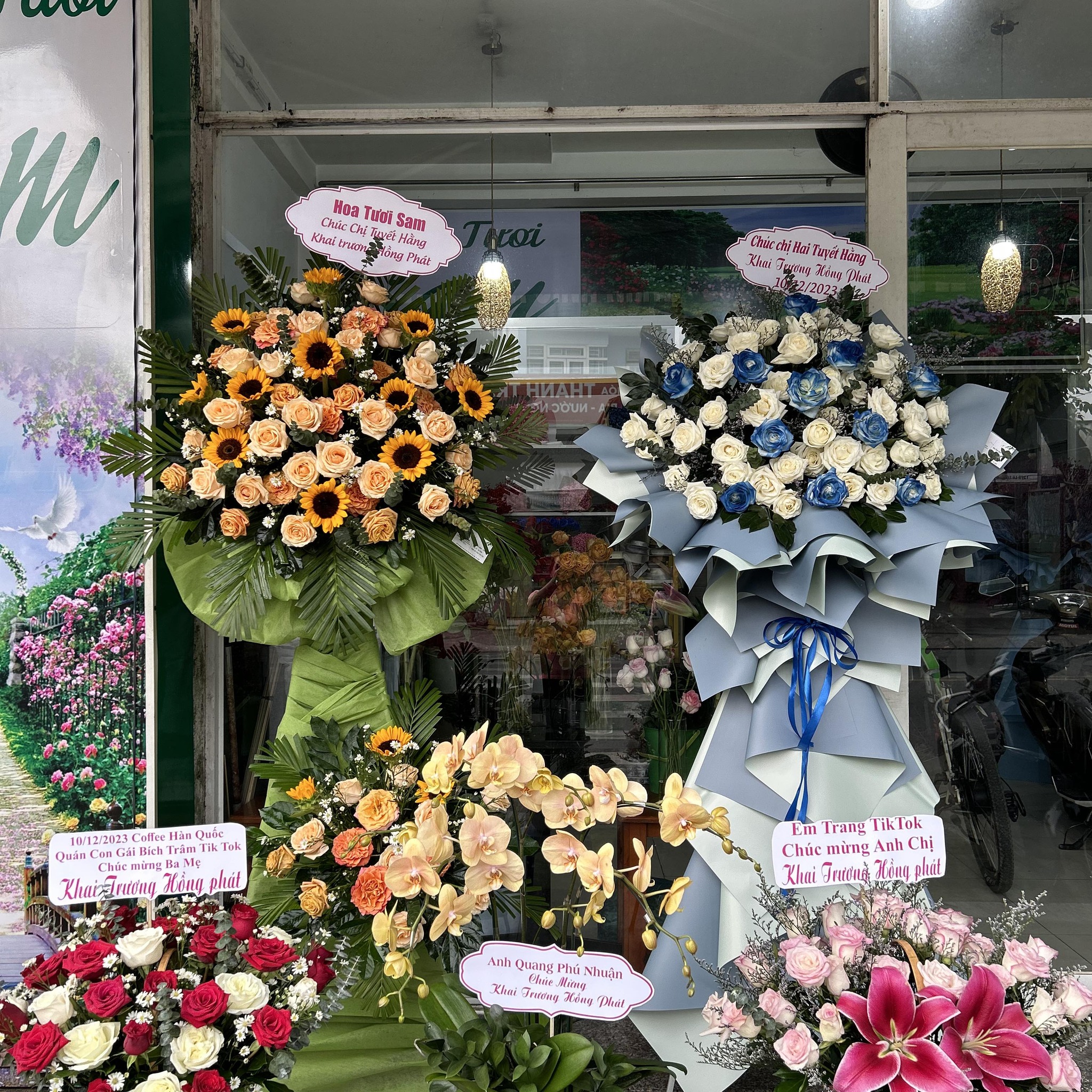 SHOP HOA SAM - CỬA HÀNG HOA UY TÍN, CHẤT LƯỢNG Ở HÓC MÔN, TP HỒ CHÍ MINH