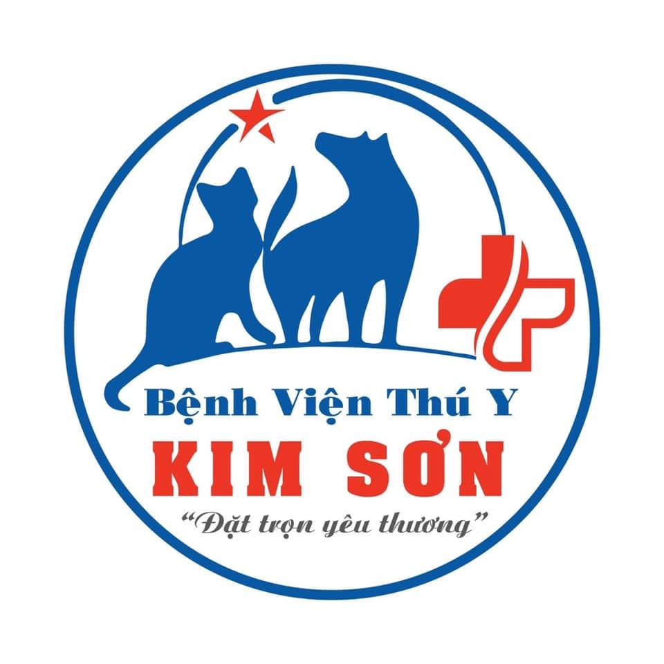 Top 3 Phòng Khám Thú Y Uy Tín Nhất – Nơi Gửi Gắm Sức Khỏe Thú Cưng