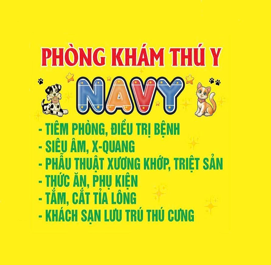 Top 3 Phòng Khám Thú Y Uy Tín, Bác Sĩ Tay Nghề Cao – Chăm Sóc Sức Khỏe Thú Cưng Tận Tâm