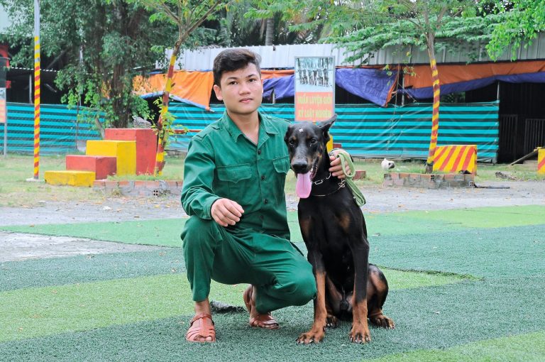 Top 3 Trung Tâm Huấn Luyện Chó Uy Tín Nhất TP.HCM – Nơi Chăm Sóc Và Đào Tạo Người Bạn Bốn Chân Của Bạn