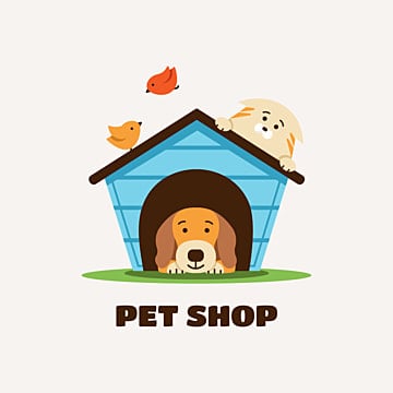 Top 3 Petshop Giá Tốt Đáng Tham Khảo Nhất Hiện Nay