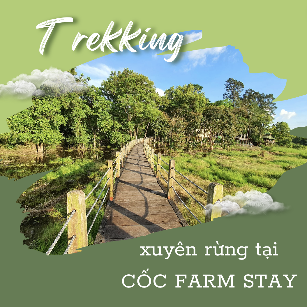 TREKKING XUYÊN RỪNG TẠI CỐC FARM STAY - LÂM ĐỒNG