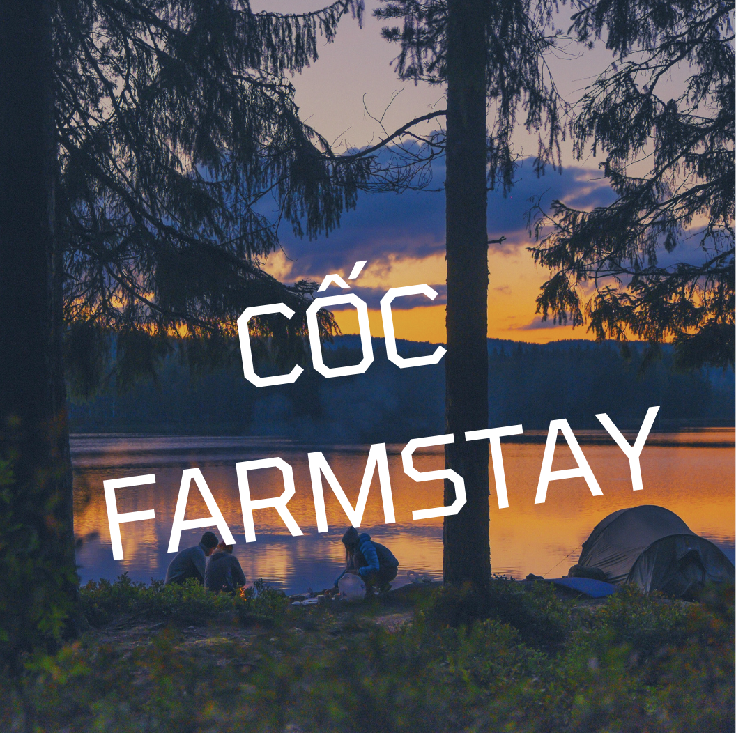 Khám Phá Hành Trình Trải Nghiệm Cốc Farmstay Ở Lâm Đồng