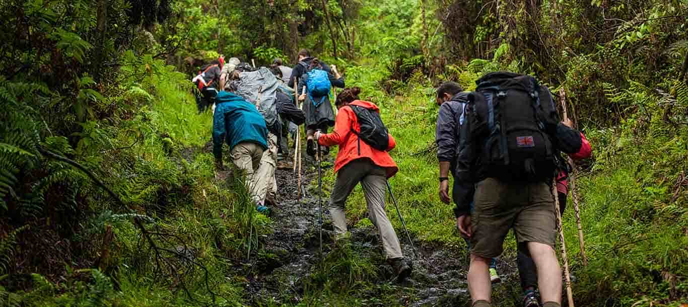 trekking xuyên rừng