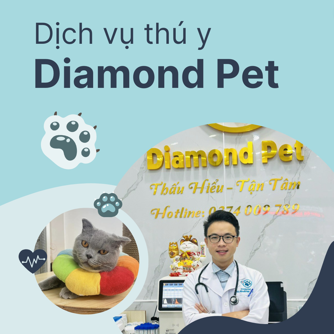 https://top3.vn/uploads/source/NguyenThiThuThao/diamon-pet/a-nh-ma-n-hi-nh-2024-01-12-lu-c-00-43-55.png?utm_source=chatgpt.com