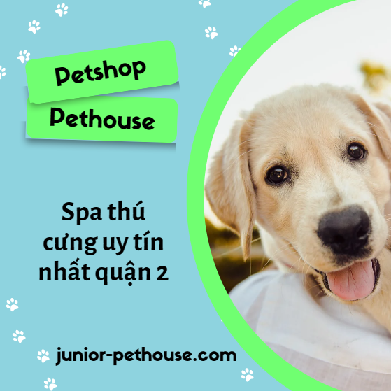 Junior Pet House - Petshop Uy Tín Quận 2 Cho Hạnh Phúc của Bạn và Thú Cưng