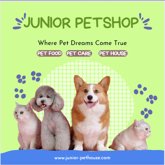 Spa thú cưng tốt nhất quận 2 - Junior Pet House