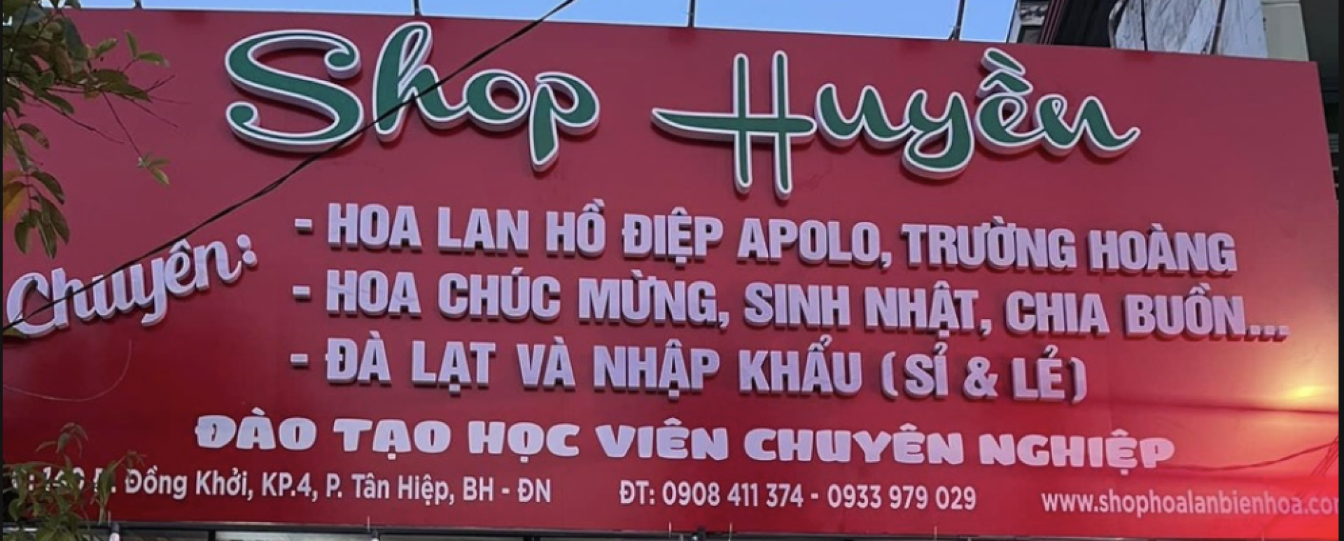 Top Cửa hàng hoa chuyên cung cấp hoa giá sỉ chất lượng và uy tín tại Biên Hòa, Siêu thị hoa và trái cây nhập khẩu huyền hóa biên hò