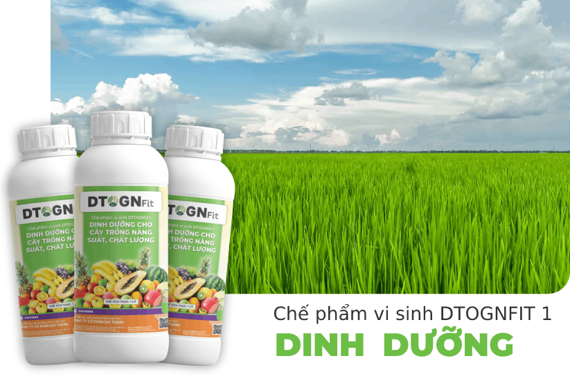 Top 3 công ty chuyên cung cấp chế phẩm sinh học uy tín tại Hà Nội