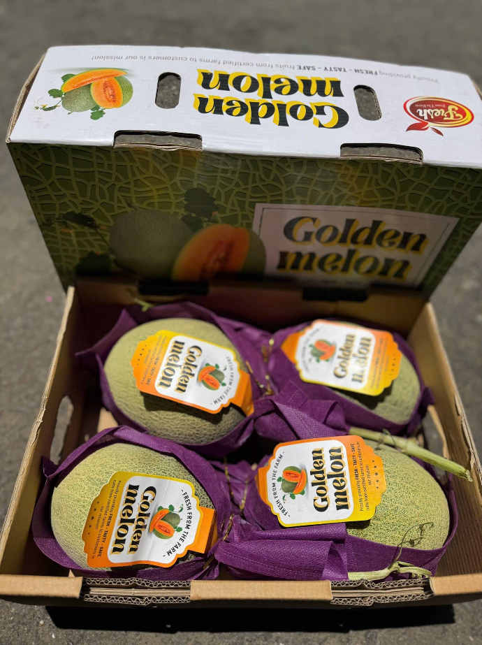 Top 3 cửa hàng trái cây sạch uy tín, chất lượng tại TP. Bà Rịa – Vũng Tàu