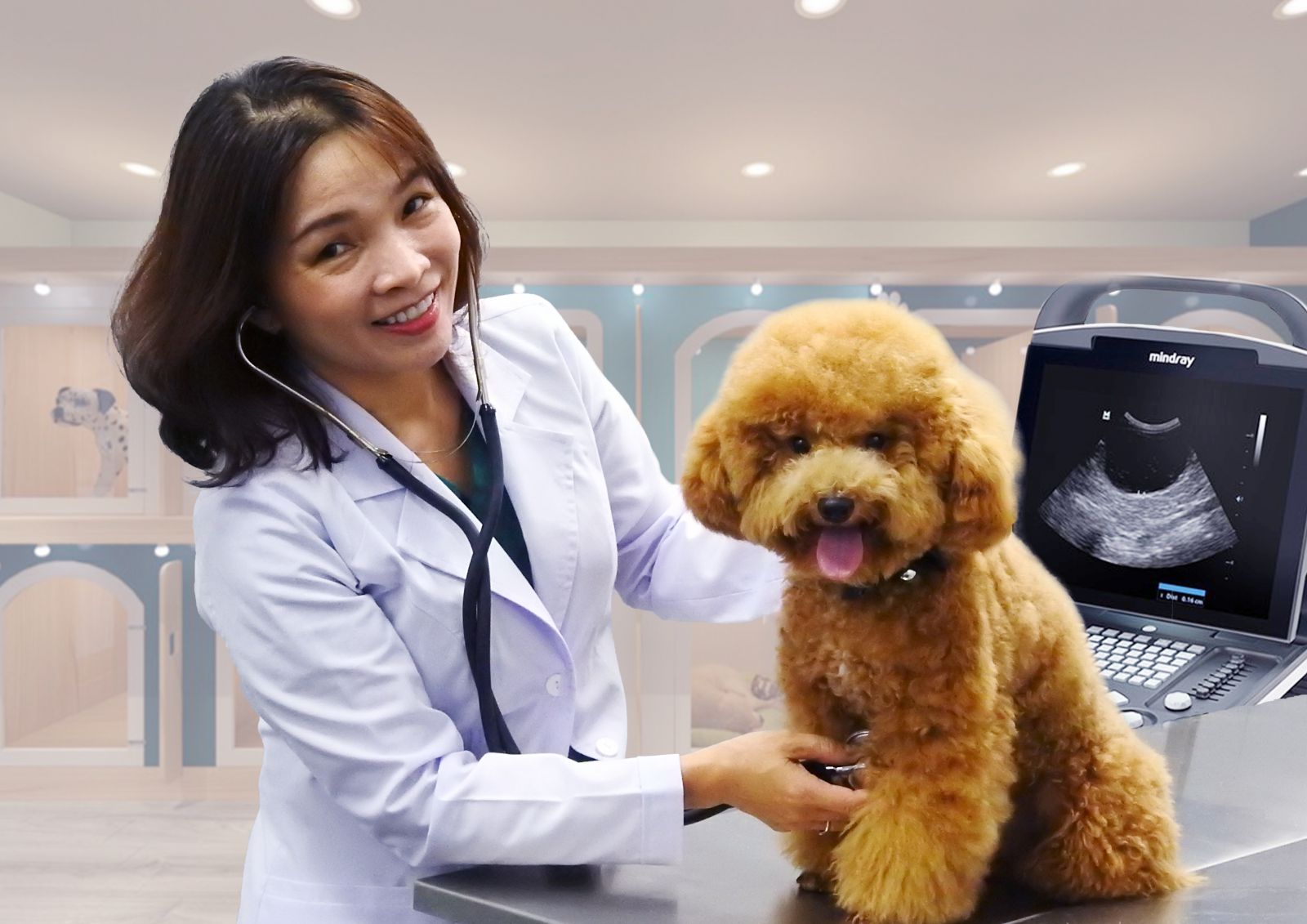 Top 3 phòng khám xét nghiệm chó mèo uy tín tại Quận Phú Nhuận