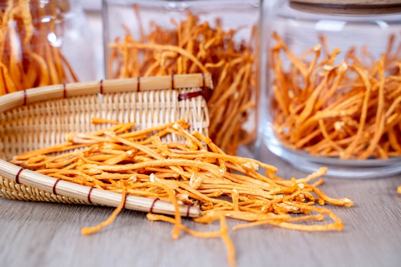 Top 5 cửa hàng bán đông trùng hạ thảo tốt nhất