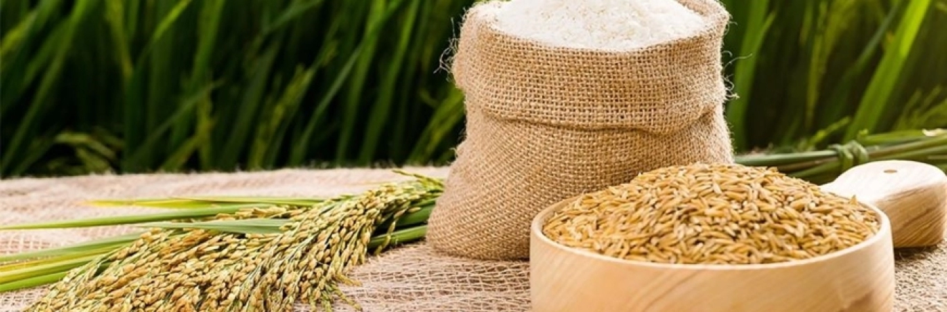 Top 3 Cửa Hàng Gạo Uy Tín Chất Lượng Tại TP.HCM