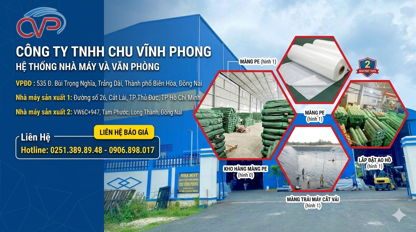 Tìm Đâu Đơn Vị Cung Cấp Màng PE Uy Tín? Đây Là Top 3 Cái Tên Nổi Bật Nhất 2026