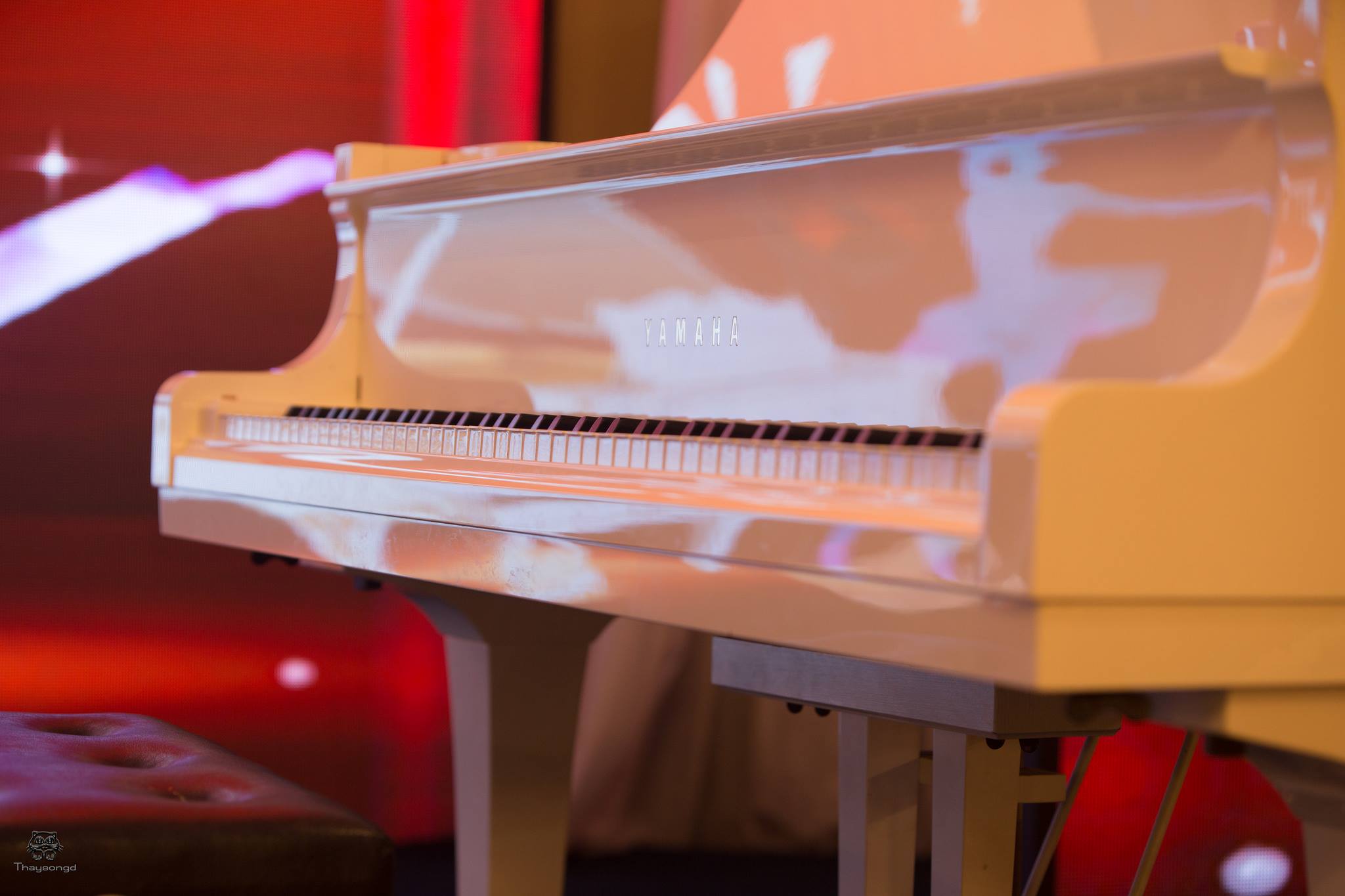 Top 3 trung tâm dạy nhạc – nghệ thuật uy tín nhất Quận 7, nổi bật với Sonata Music & Art Center
