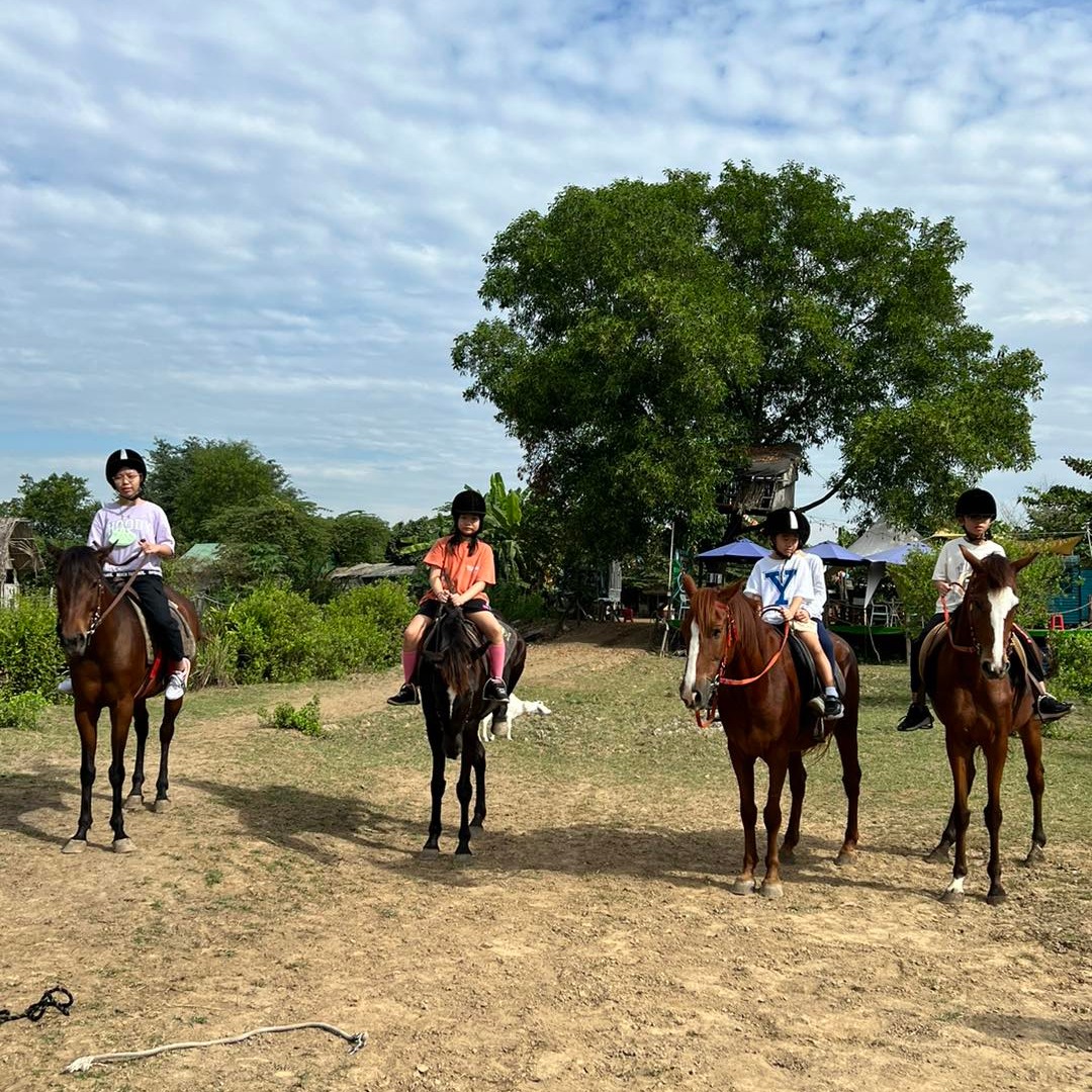 Top 3 Địa Điểm Cưỡi Ngựa Đáng Trải Nghiệm Tại Bình Chánh