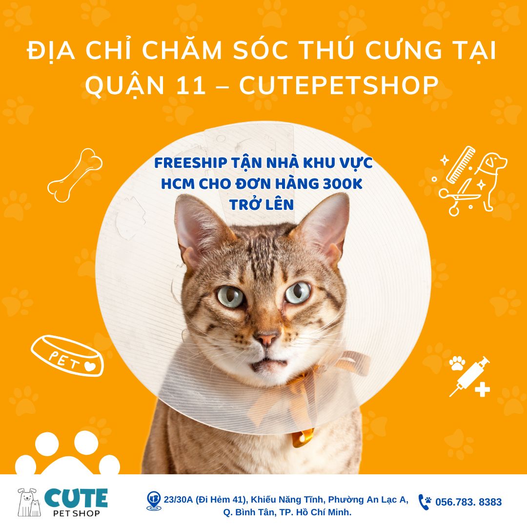 Địa chỉ chăm sóc thú cưng tại Quận 11 – CUTEPETSHOP