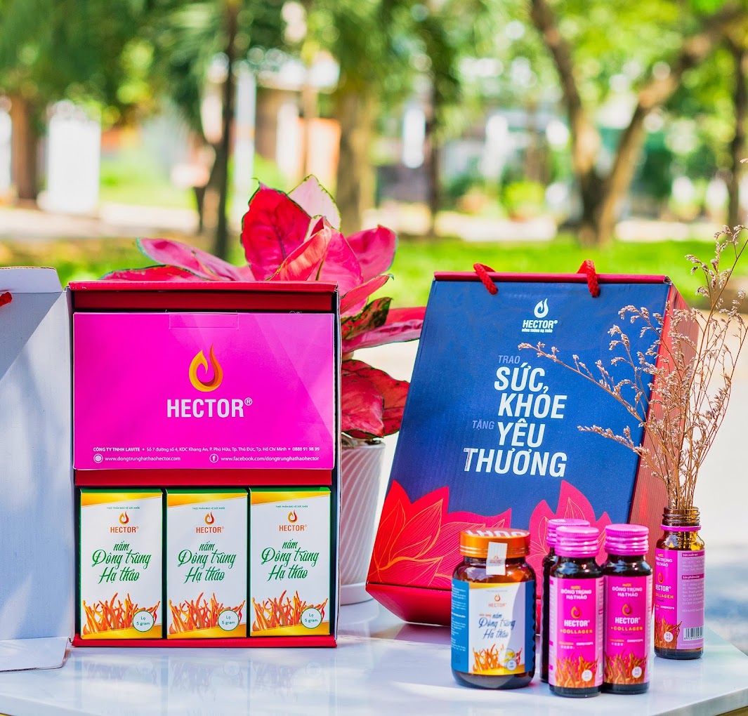 Top 3 Cửa Hàng Bán Đông Trùng Hạ Thảo Uy Tín Tại Quận 10 TPHCM