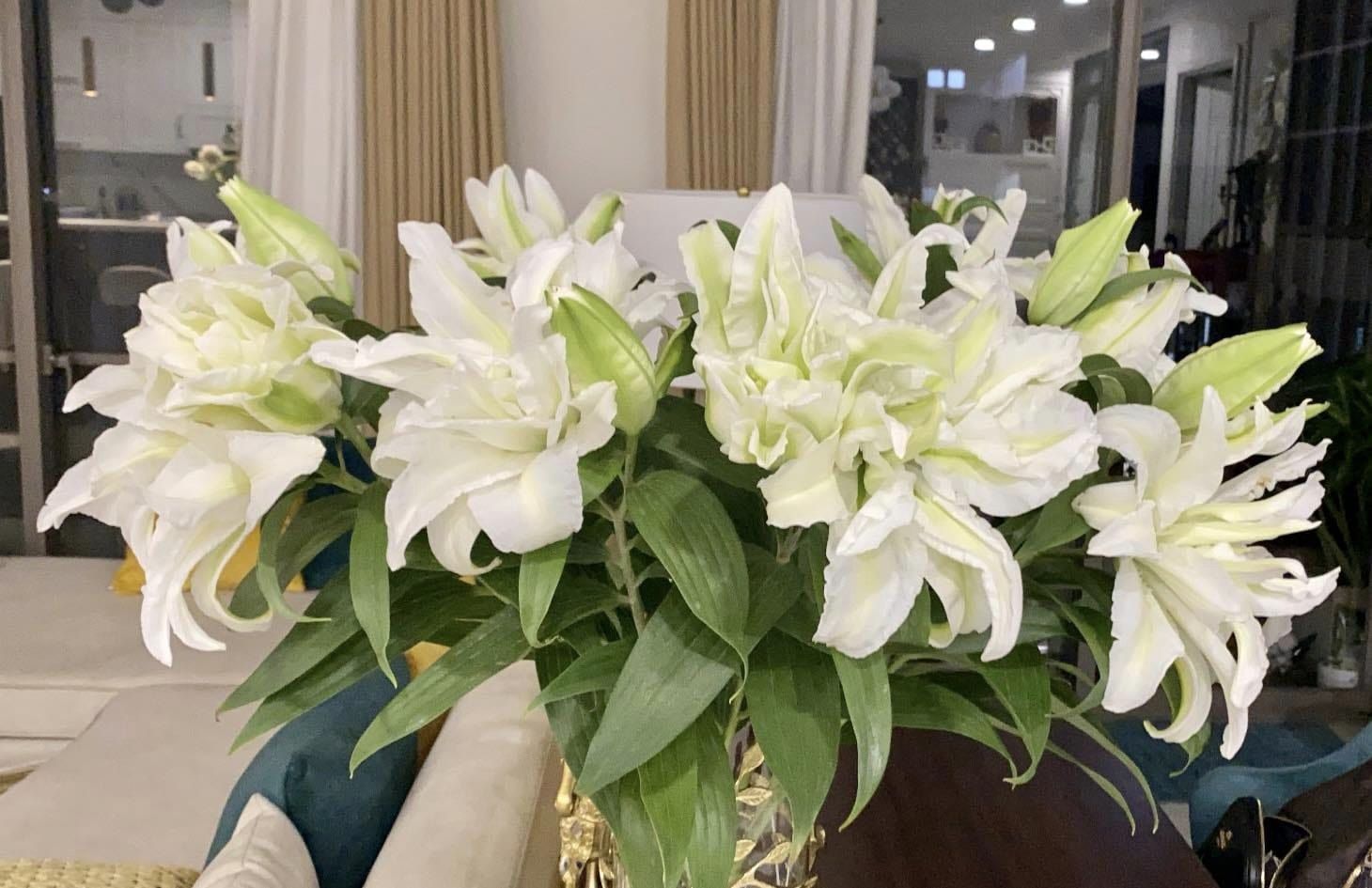 Top 3 cửa hàng kinh doanh hoa uy tín ở quận 8, TP.HCM