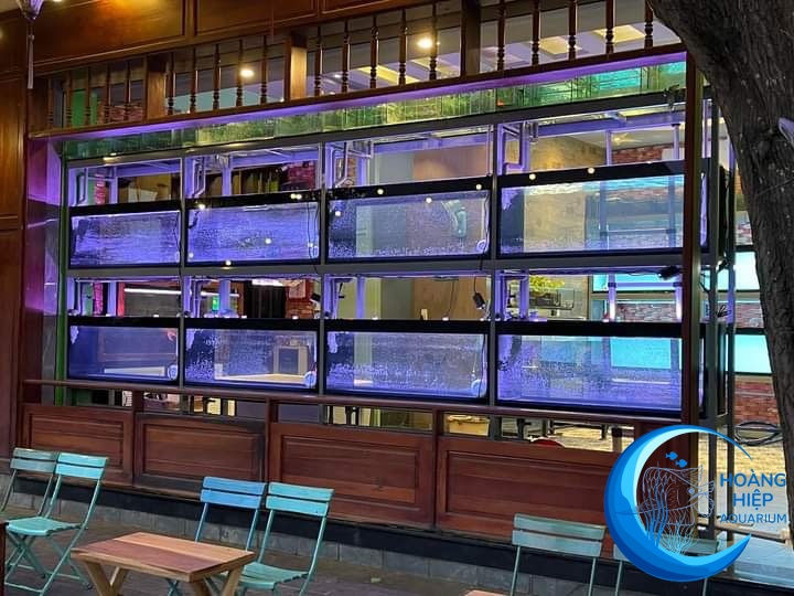 Thiết Kế và Thi Công Hồ Cá Rồng Tại Hóc Môn - Sáng Tạo và Chất Lượng Tại Hoàng Hiệp Aquarium