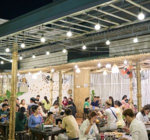 bò sốt acy
