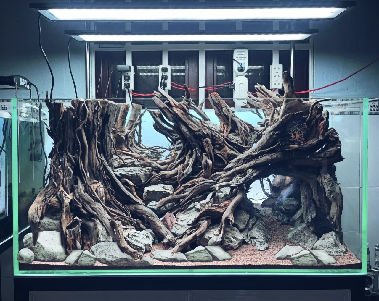 Top 3 Dịch vụ setup bể thuỷ sinh chuyên nghiệp nhất hiện nay khu vực Biên Hoà Đồng Nai