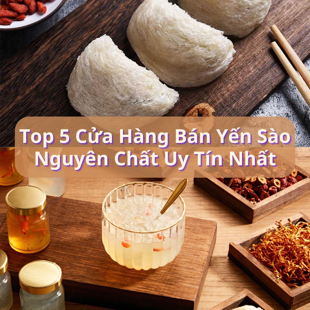 Top 5 Cửa Hàng Bán Yến Sào Nguyên Chất Uy Tín Nhất