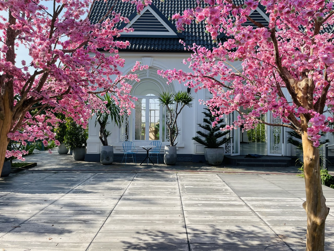 Top 3 Phim Trường Tại Bình Dương Đẹp Nhất Cho Chụp Ảnh