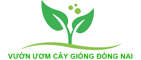 Top 3 Đơn Vi Cung Cấp Cây Giống Tại Trảng Bom