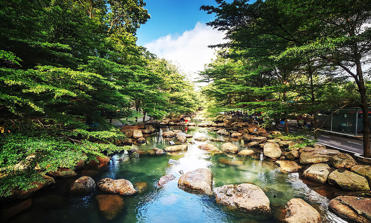 Khám Phá Top 3 Địa Điểm Tham Quan Du Lịch Vườn Cây Sinh Thái ở Châu Thành, Đồng Tháp