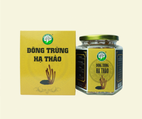 Top 3 Công Ty Cung Cấp Sản Phẩm Đông Trùng Hạ Thảo Uy Tín Nhất Tại Tân Bình