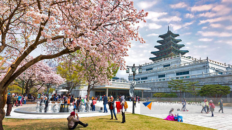 TOP 3 ĐƠN VỊ TƯ VẤN DU HỌC ĐẠI HỌC HÀN QUỐC UY TÍN TẠI TP.HCM