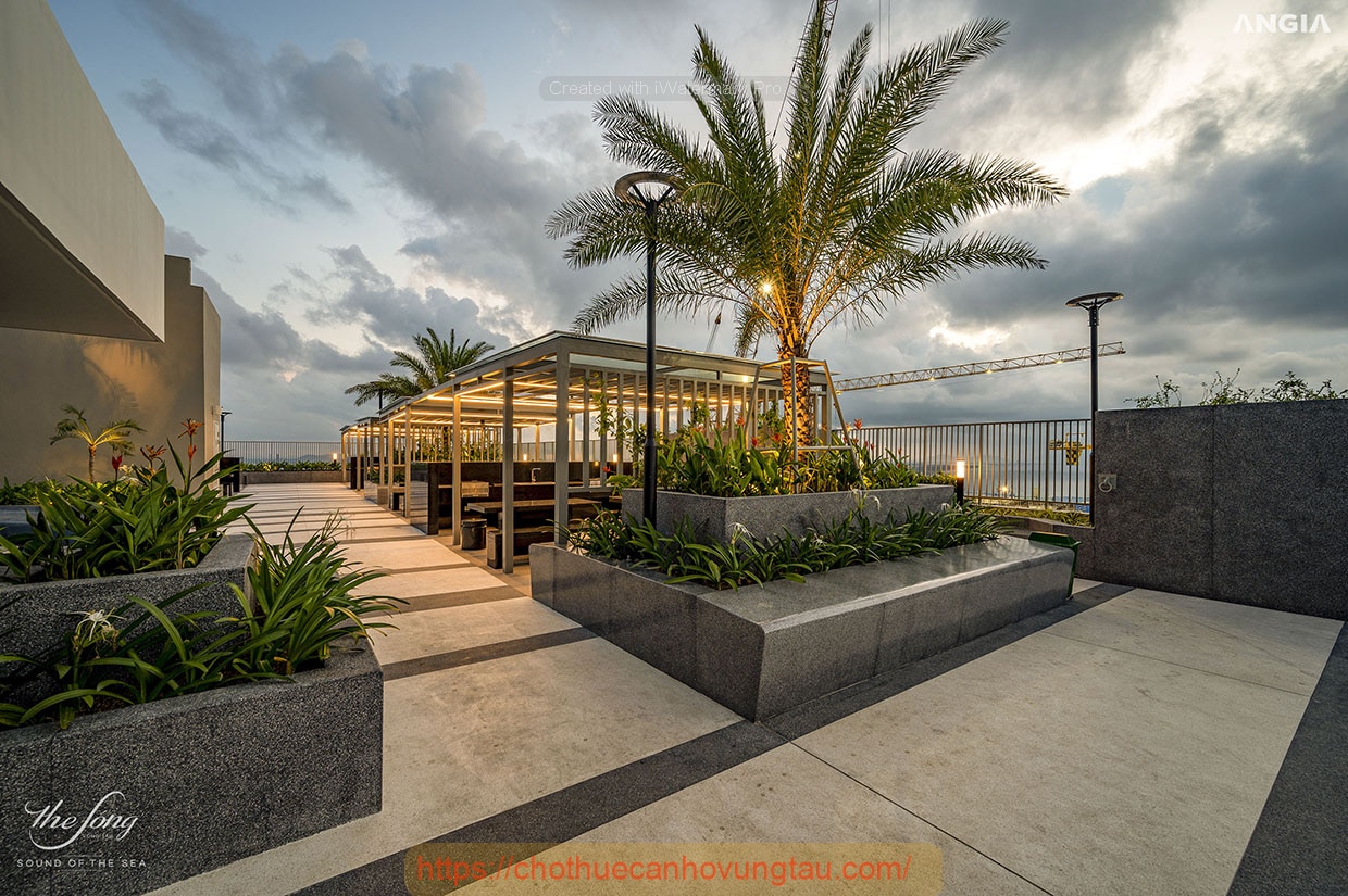 Top 3 nơi được du khách tin tưởng khi đến Vũng Tàu – Cỏ Vũng Tàu dẫn đầu