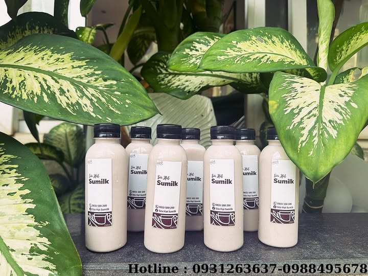 Top 3 Quán Trà Sữa Ngon Bất Tận Tại Bình Phước