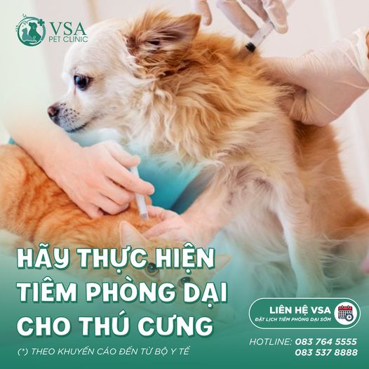 TOP 3 Phòng Khám Thú Y - Petshop Uy Tín Chất Lượng Tại Tân Bình, TP.HCM