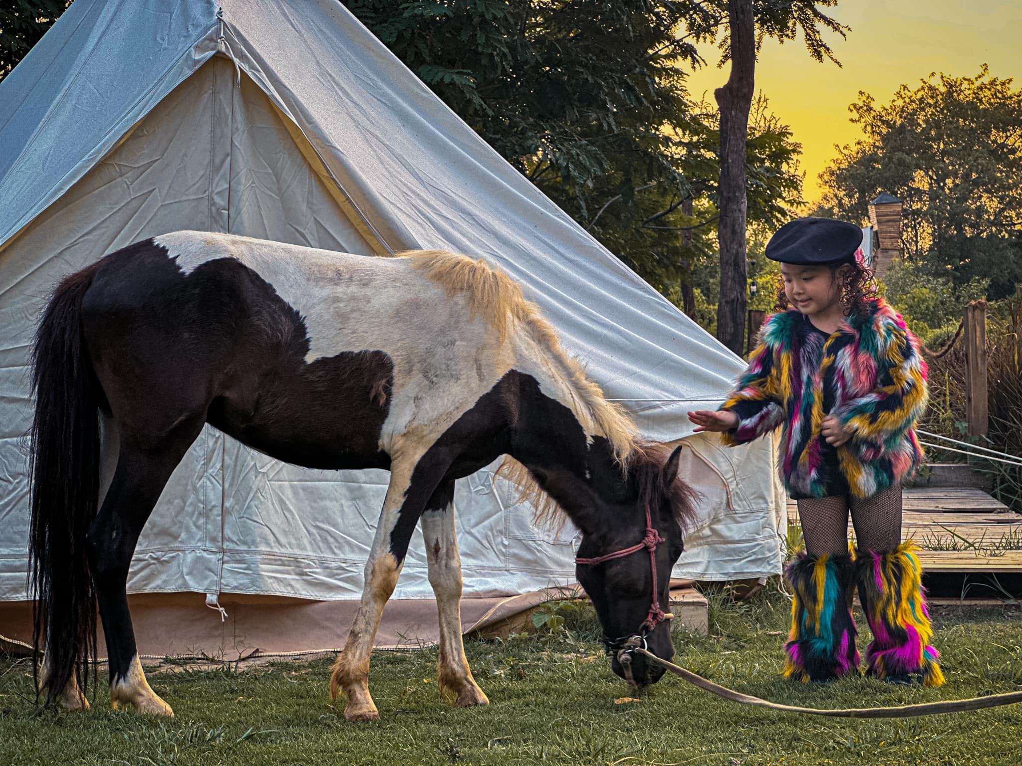 Top 3 Nông Trại Tham Quan Tại TP.HCM Được Yêu Thích Nhất 2026