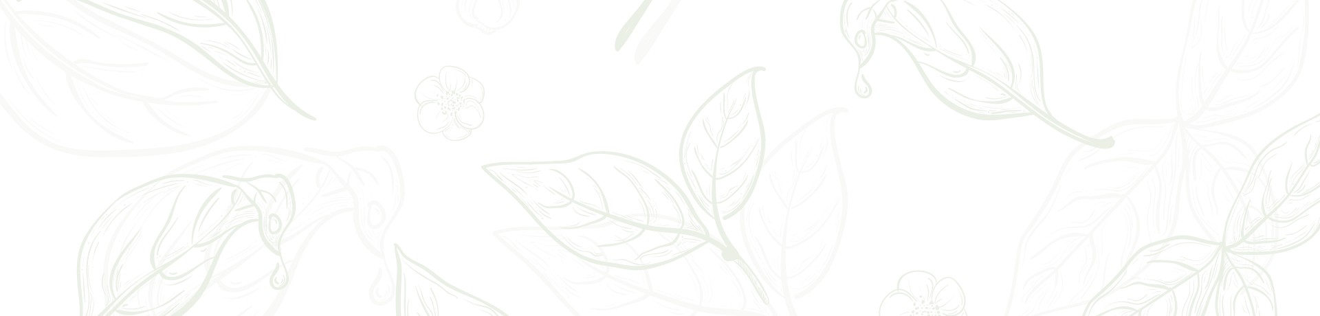 Top 3 Đơn Vị Bán Cây Cảnh Đẹp Tại Bình Thạnh – Địa Chỉ Uy Tín Cho Người Yêu Cây