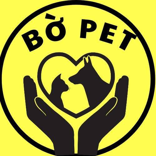 Review Top 3 dịch vụ chăm sóc thú cưng tốt nhất tại TP.HCM