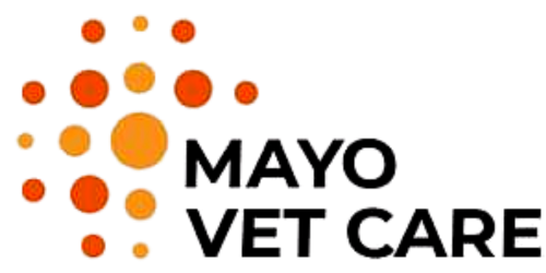 Top 3 phòng khám thú y tốt tại Thảo Điền – Địa chỉ uy tín cho thú cưng