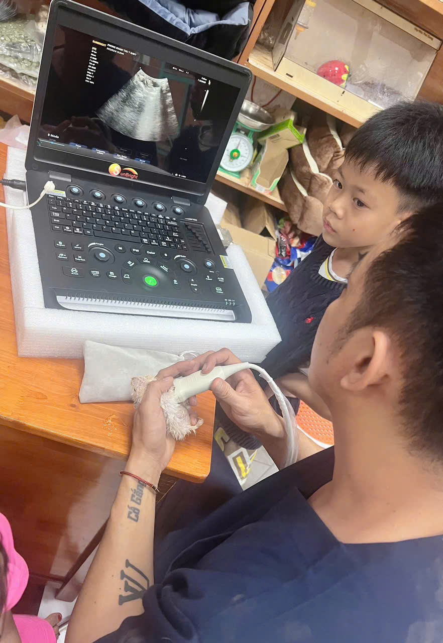 Top 3 Phòng Khám Thú Y Chất Lượng Tại Quận 12: Dịch Vụ Chăm Sóc Toàn Diện Cho Thú Cưng