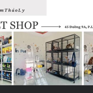 Top 3 Cửa Hàng Pet Shop Đáng Ghé Thăm ở Hồ Chí Minh