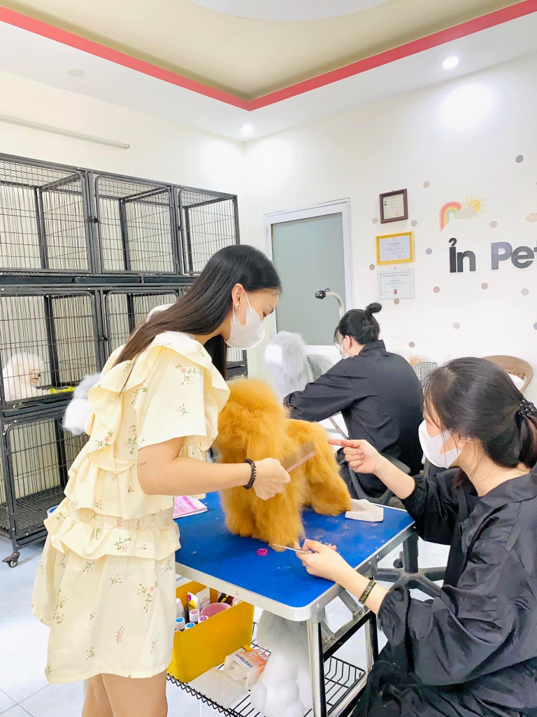 Top 3 Cửa Hàng Pet Shop Nổi Tiếng Ở Quận 9