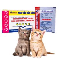 Top 3 Cửa Hàng Petshop Tốt Nhất Ở Quận 12