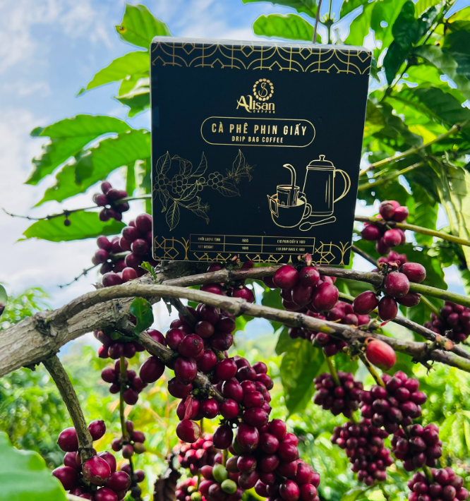 Top 3 Địa Điểm Mua Cà Phê Ngon Nhất Tại Hồ Chí Minh