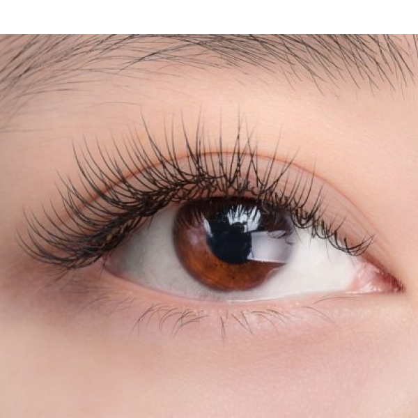 Top 3 địa chỉ nối mi trứ danh Quận 6