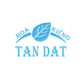 Top 3 vựa hoa kiểng đủ loại uy tín tại khu vực Kha Vạn Cân được nhiều khách hàng tin chọn