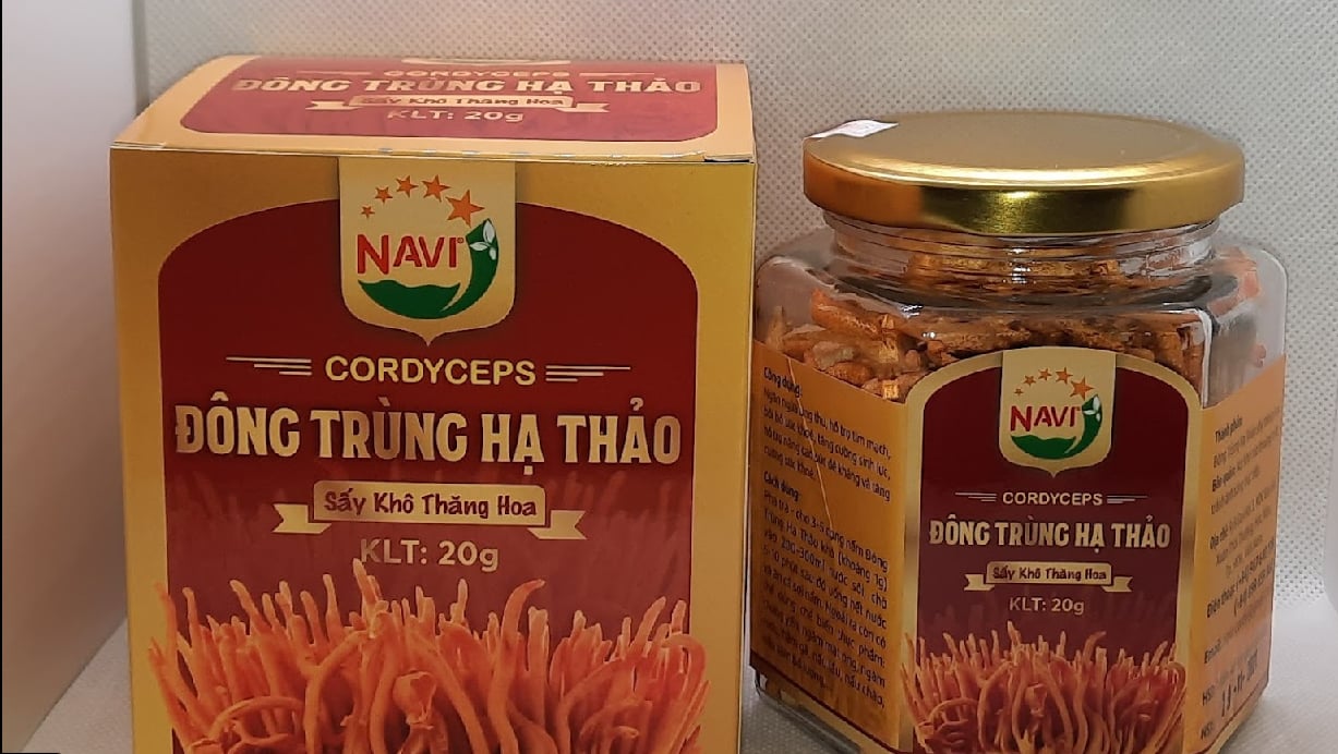 đông trùng hạ thảo