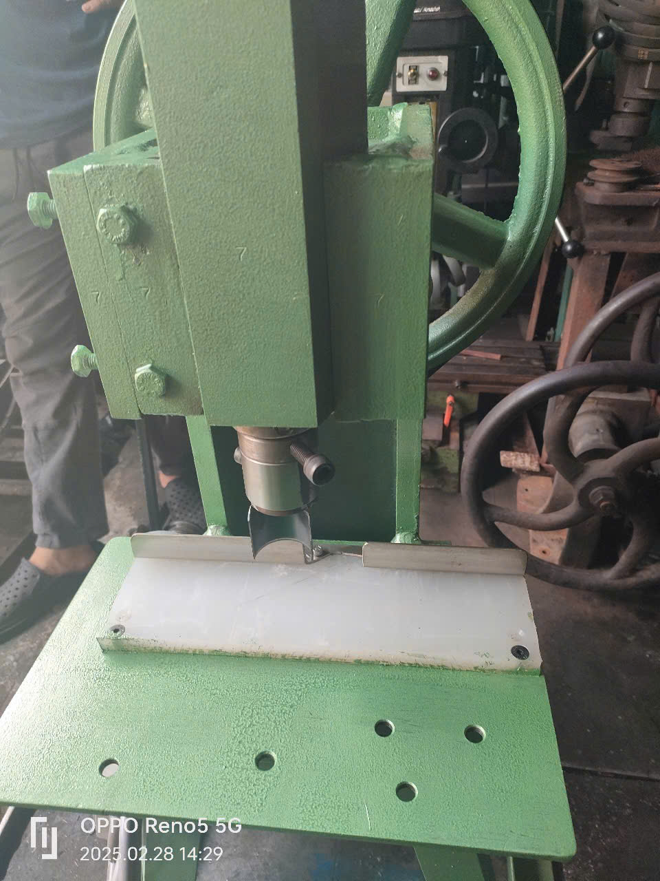 máy cắt mắt mía