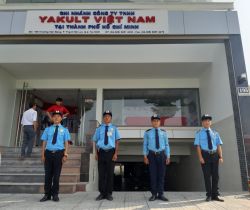 Top 3 Công Ty Bảo Vệ Uy Tín Chất Lượng Tại Gò Vấp Được Khách Hàng Tin Chọn
