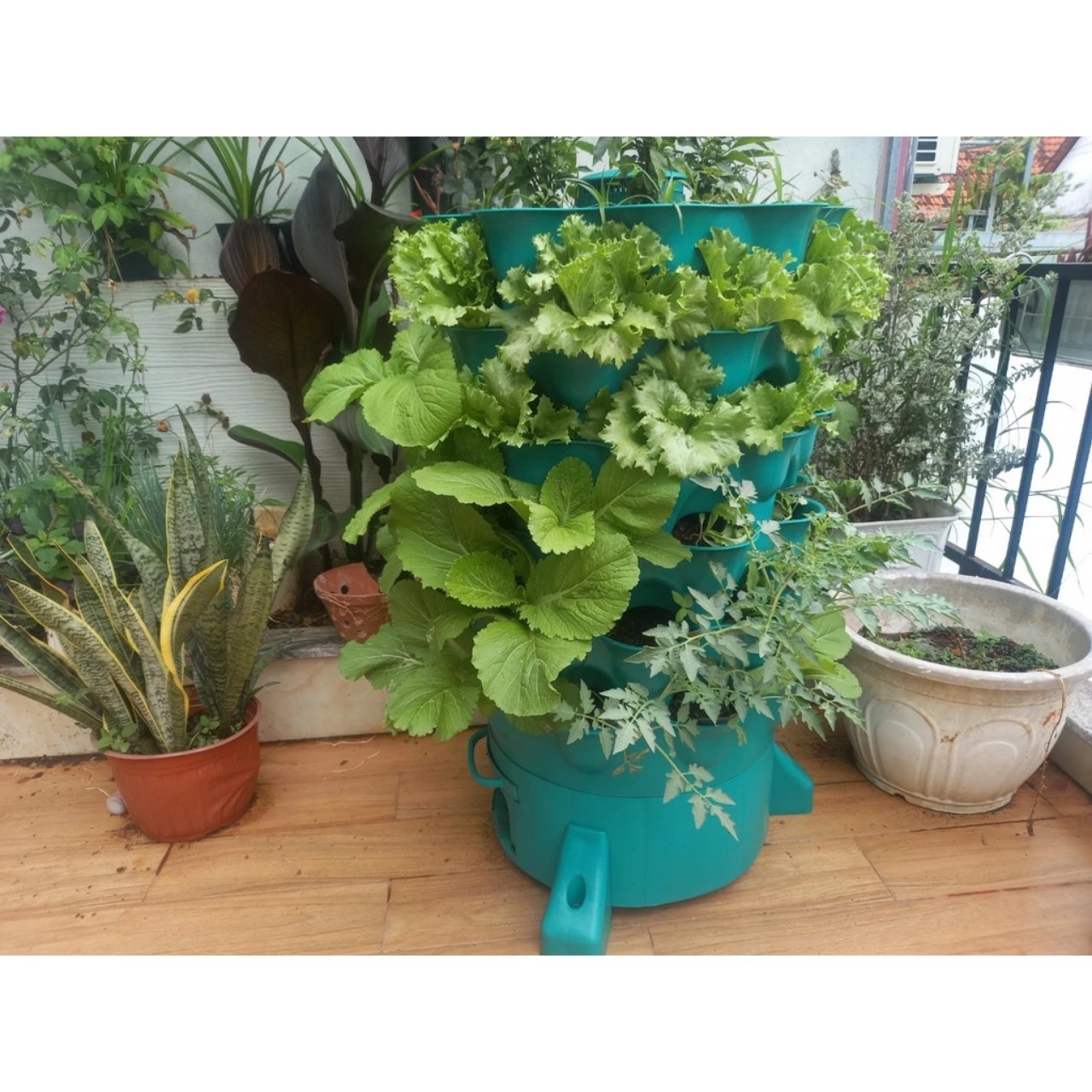 CỬA HÀNG TIẾN ĐỘ - ĐỊA CHỈ CUNG CẤP SẢN PHẨM VẬT TƯ NÔNG NGHIỆP ĐA DẠNG NHẤT TẠI THỦ DẦU MỘT BÌNH DƯƠNG